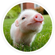 有力的產(chǎn)品質量保證